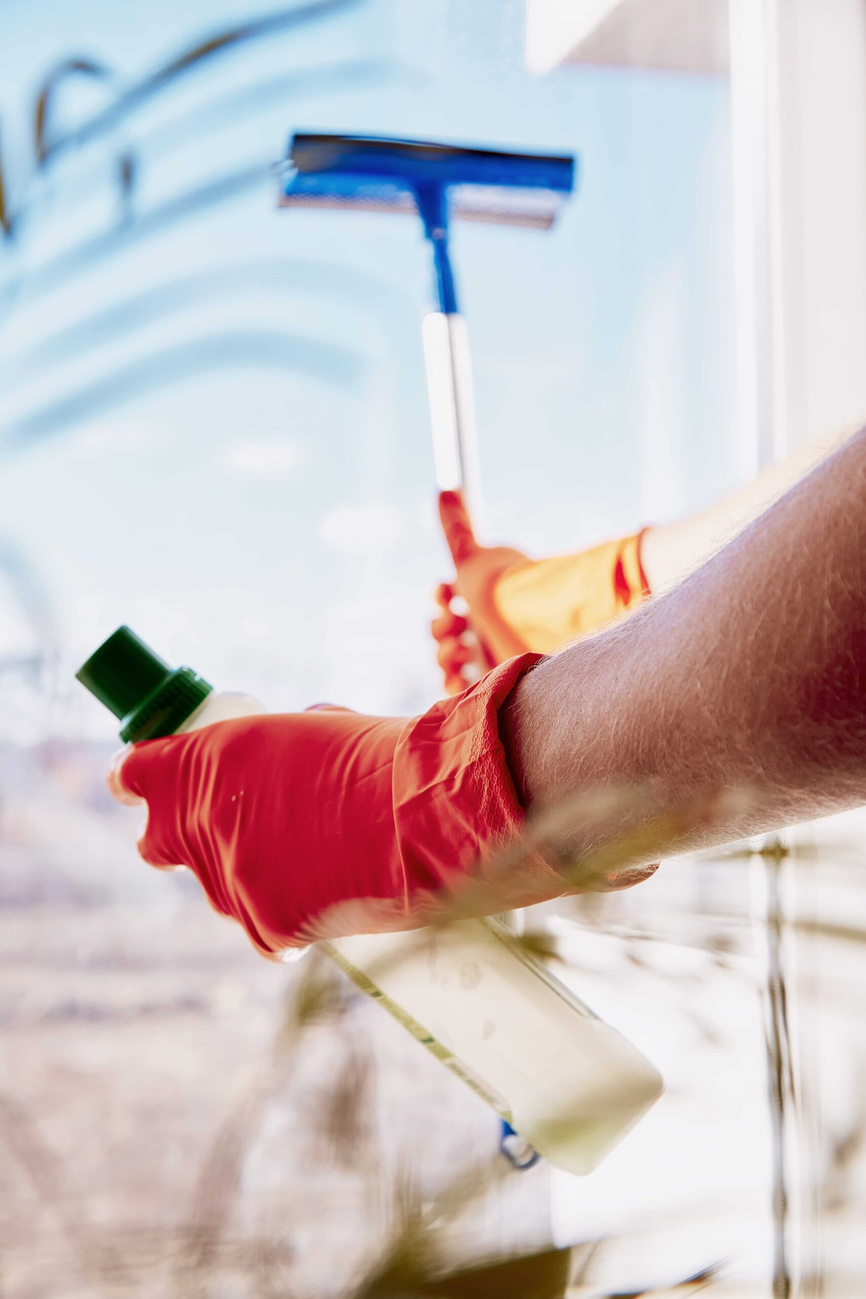 spring cleaning concept. man is washing windows. household chores disinfection during quarantine due to coronavirus. dimensional plant, layers, blurred foreground